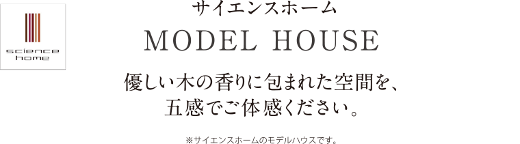 優しい木の香りに包まれた空間を、五感でご体感ください。